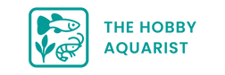 Logo for 'The Hobby Aquarist' with fish, cherry shrimp and plant illustrations on a transparent background.